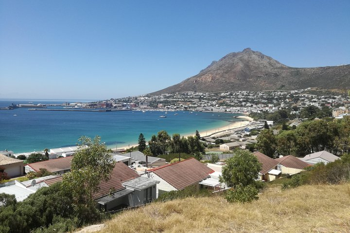 Cape of Good Hope tour Full day /Half day - Photo 1 of 9